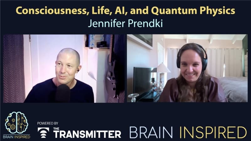 Brain Inspired podcast cover art