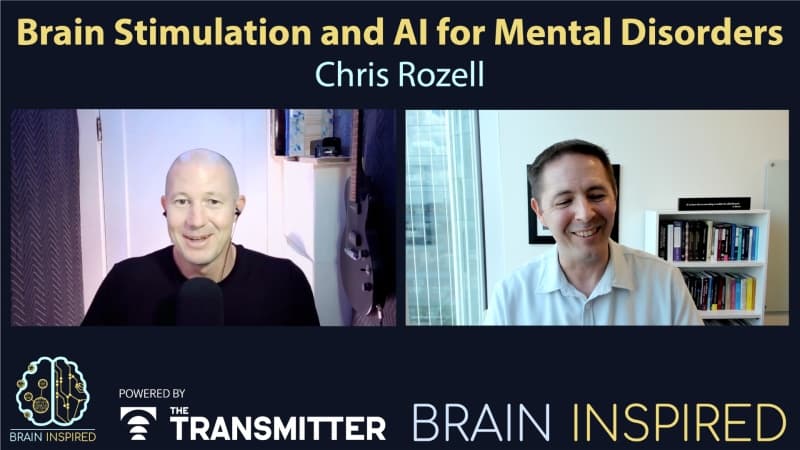 Brain Inspired podcast cover art