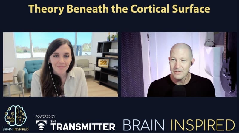 Brain Inspired podcast cover art
