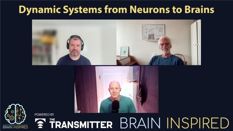 Brain Inspired podcast cover art