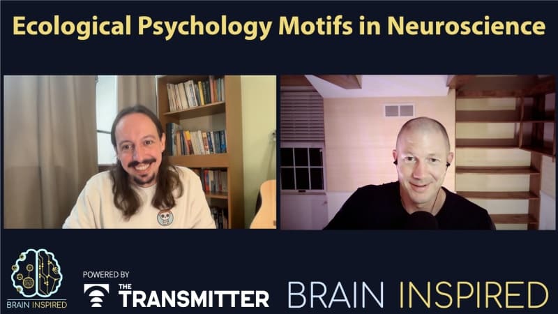 Brain Inspired podcast cover art
