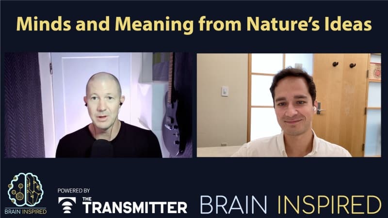 Brain Inspired podcast cover art