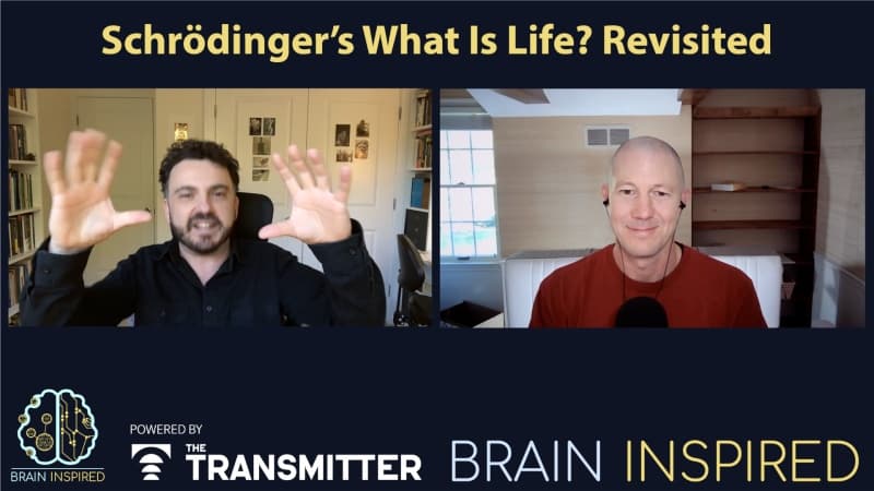 Brain Inspired podcast cover art