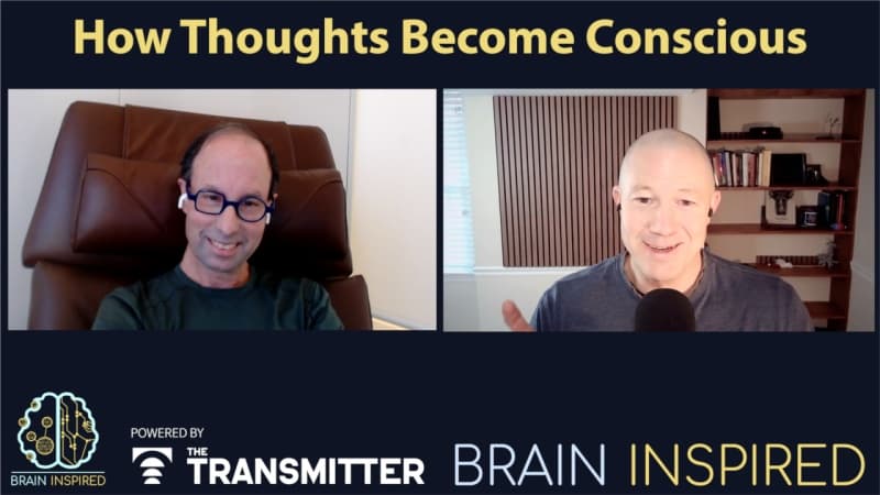 Brain Inspired podcast cover art
