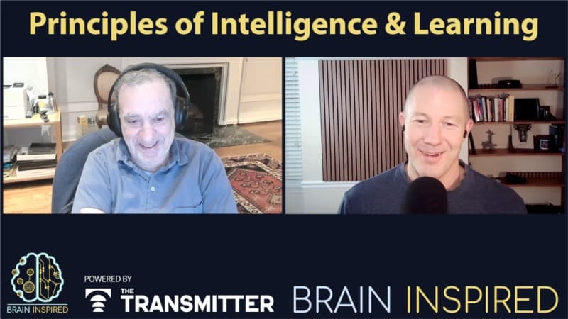 Brain Inspired podcast cover art