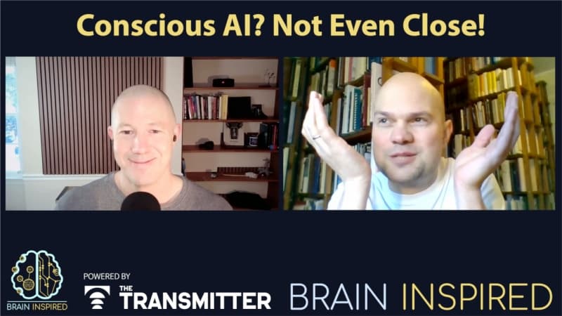 Brain Inspired podcast cover art