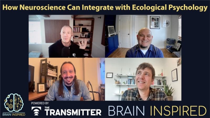 Brain Inspired podcast cover art