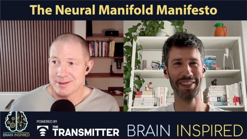 Brain Inspired podcast cover art