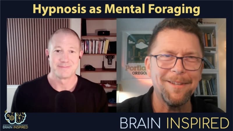 Brain Inspired podcast cover art