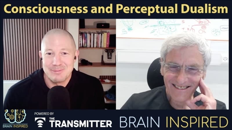 Brain Inspired podcast cover art
