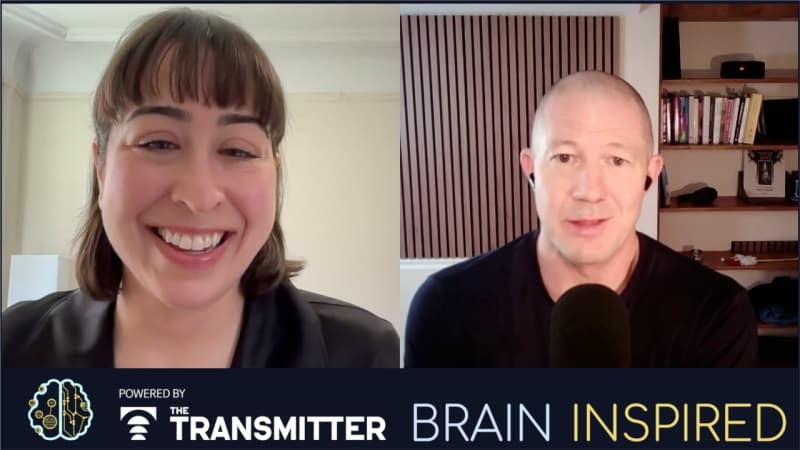Brain Inspired podcast cover art