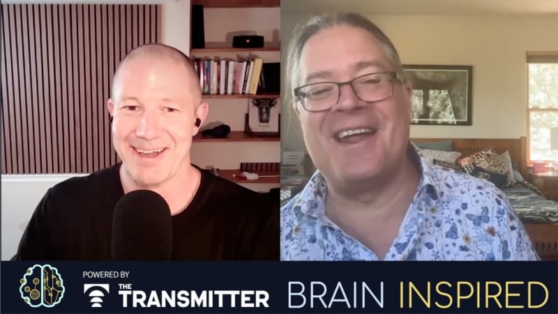 Brain Inspired podcast cover art