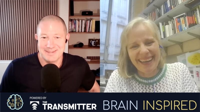 Brain Inspired podcast cover art