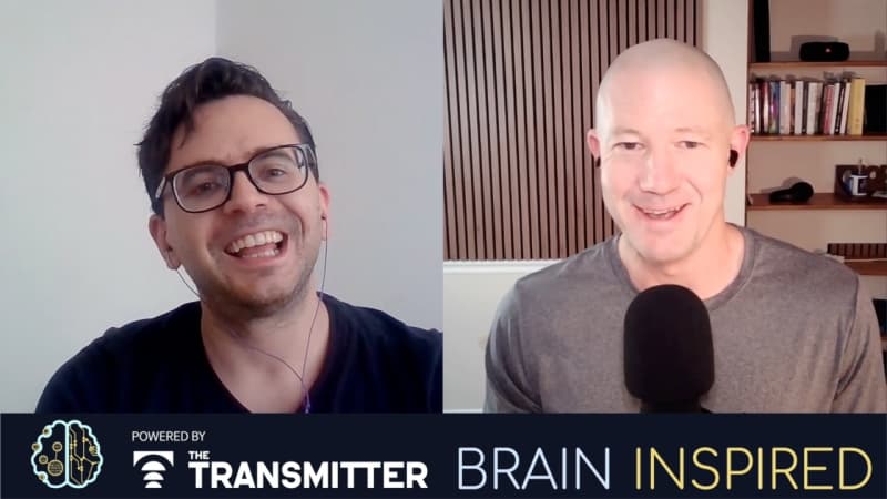 Brain Inspired podcast cover art