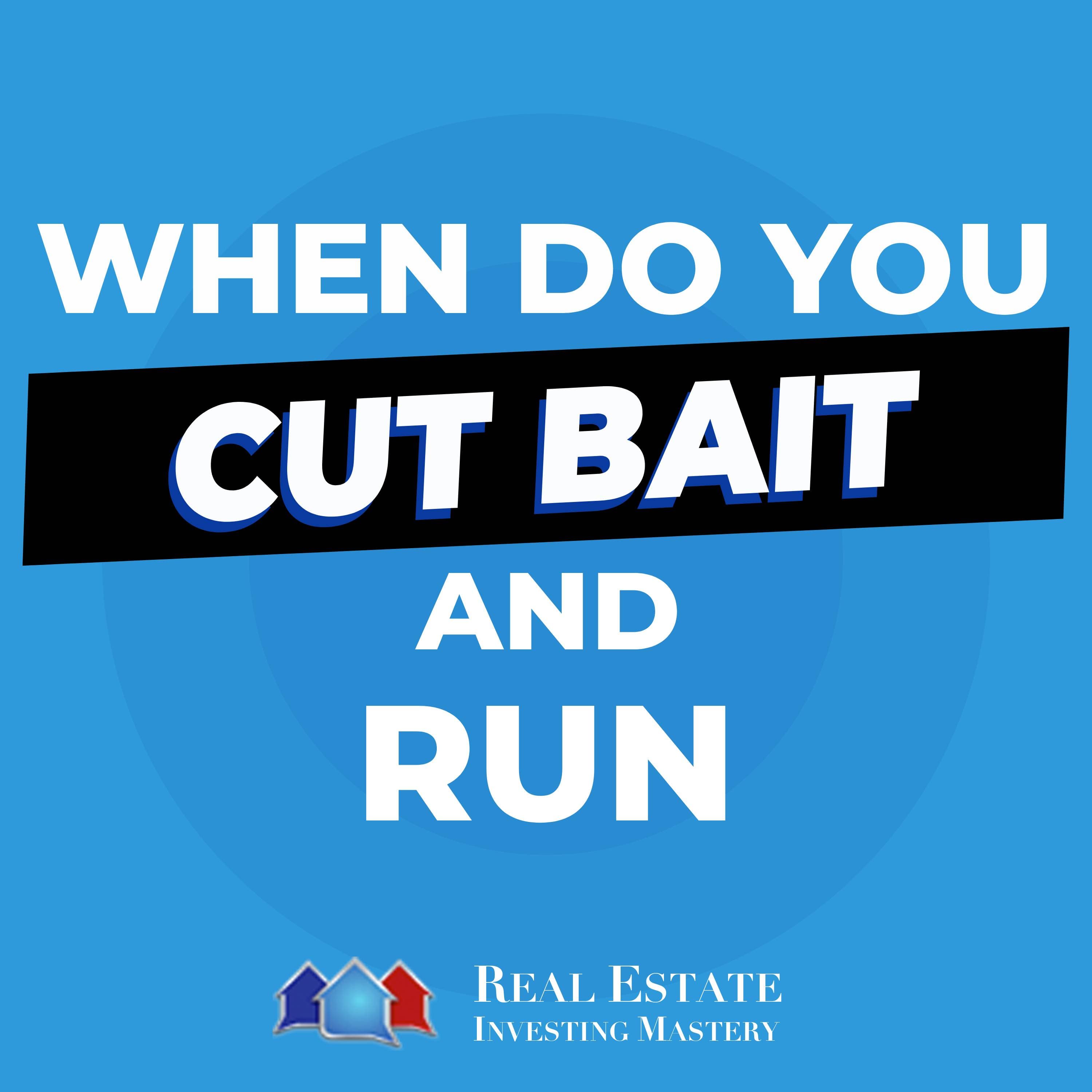 Real Estate Investing Mastery Podcast cover art