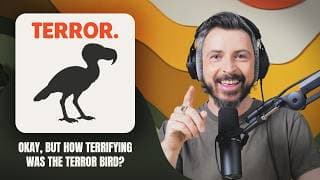 Okay, But... Birds podcast cover art