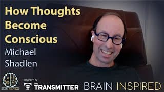 Brain Inspired podcast cover art