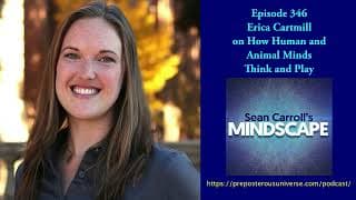 Sean Carroll's Mindscape: Science, Society, Philosophy, Culture, Arts, and Ideas podcast cover art