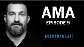 Huberman Lab podcast cover art