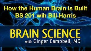Brain Science with Ginger Campbell, MD: Neuroscience for Everyone podcast cover art