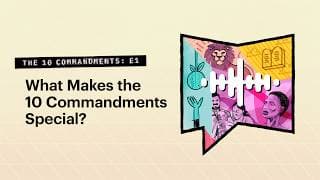 BibleProject podcast cover art