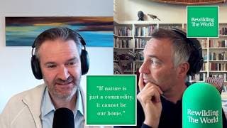 Rewilding the World with Ben Goldsmith podcast cover art