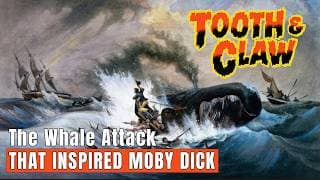 Tooth & Claw: True Stories of Animal Attacks podcast cover art