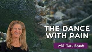 Tara Brach podcast cover art