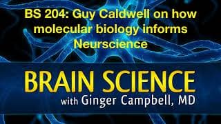 Brain Science with Ginger Campbell, MD: Neuroscience for Everyone podcast cover art