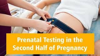 Pregnancy Podcast cover art