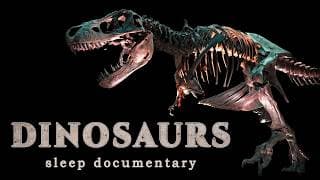 Lights Out Library: Sleep Documentaries podcast cover art