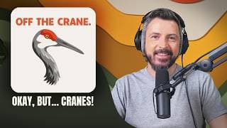 Okay, But... Birds podcast cover art