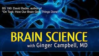 Brain Science with Ginger Campbell, MD: Neuroscience for Everyone podcast cover art