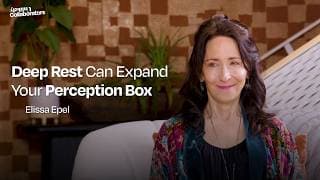 Science of Perception Box podcast cover art
