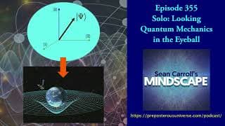 Sean Carroll's Mindscape: Science, Society, Philosophy, Culture, Arts, and Ideas podcast cover art