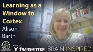 Brain Inspired podcast cover art