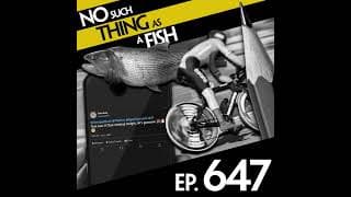 No Such Thing As A Fish podcast cover art