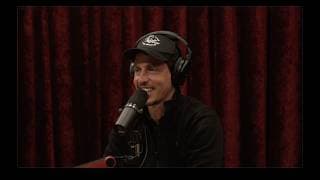 The Joe Rogan Experience podcast cover art