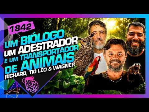Inteligência Ltda podcast cover art