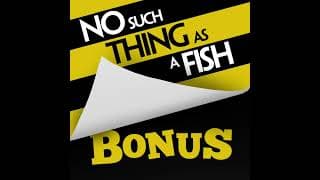 No Such Thing As A Fish podcast cover art