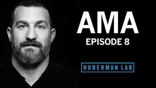 Huberman Lab podcast cover art