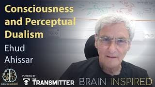 Brain Inspired podcast cover art
