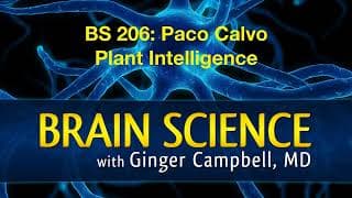 Brain Science with Ginger Campbell, MD: Neuroscience for Everyone podcast cover art