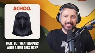 Okay, But... Birds podcast cover art