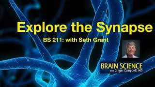 Brain Science with Ginger Campbell, MD: Neuroscience for Everyone podcast cover art