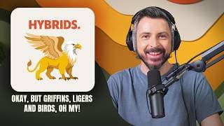Okay, But... Birds podcast cover art