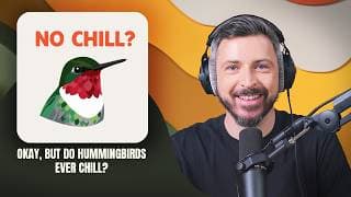 Okay, But... Birds podcast cover art