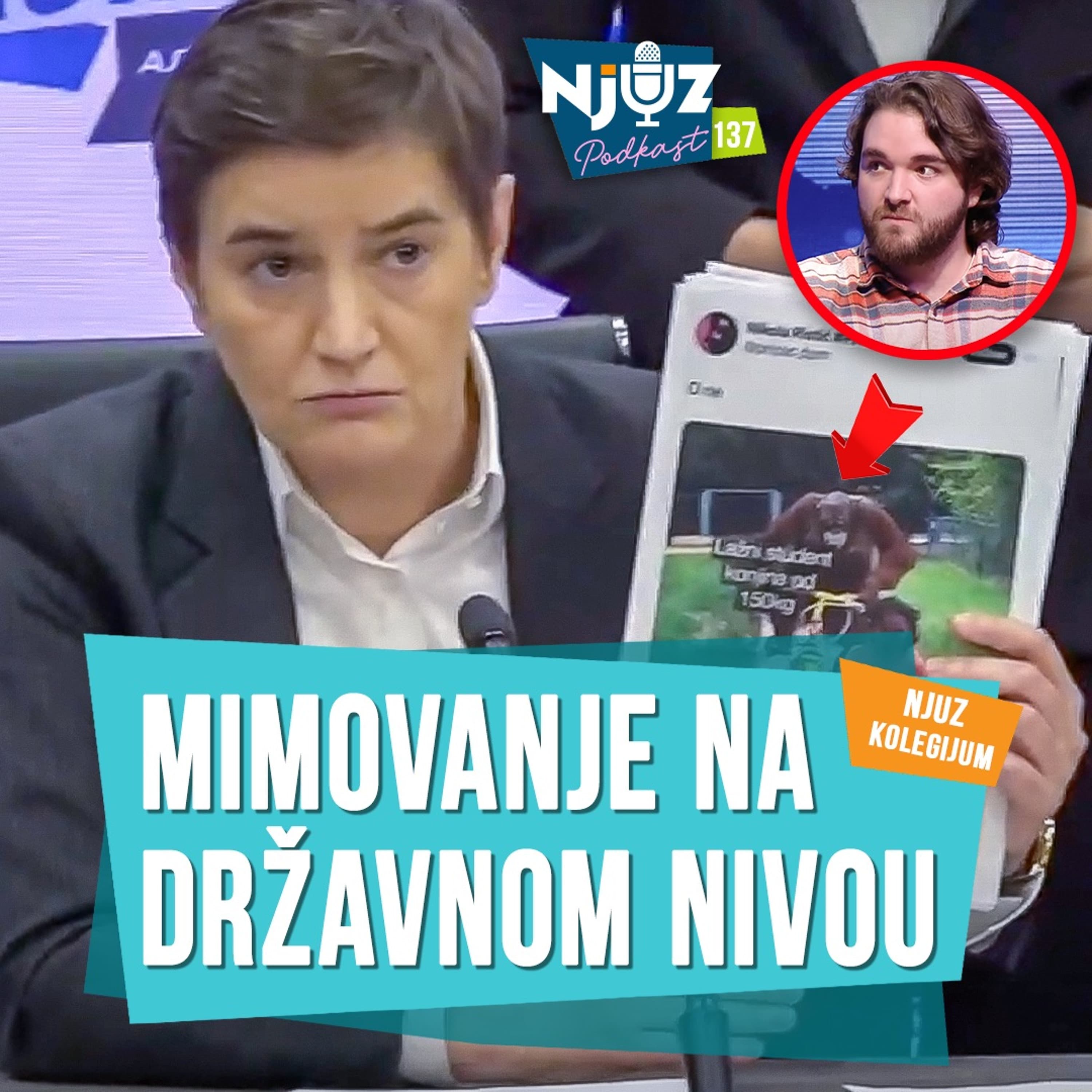 njuznet podcast cover art
