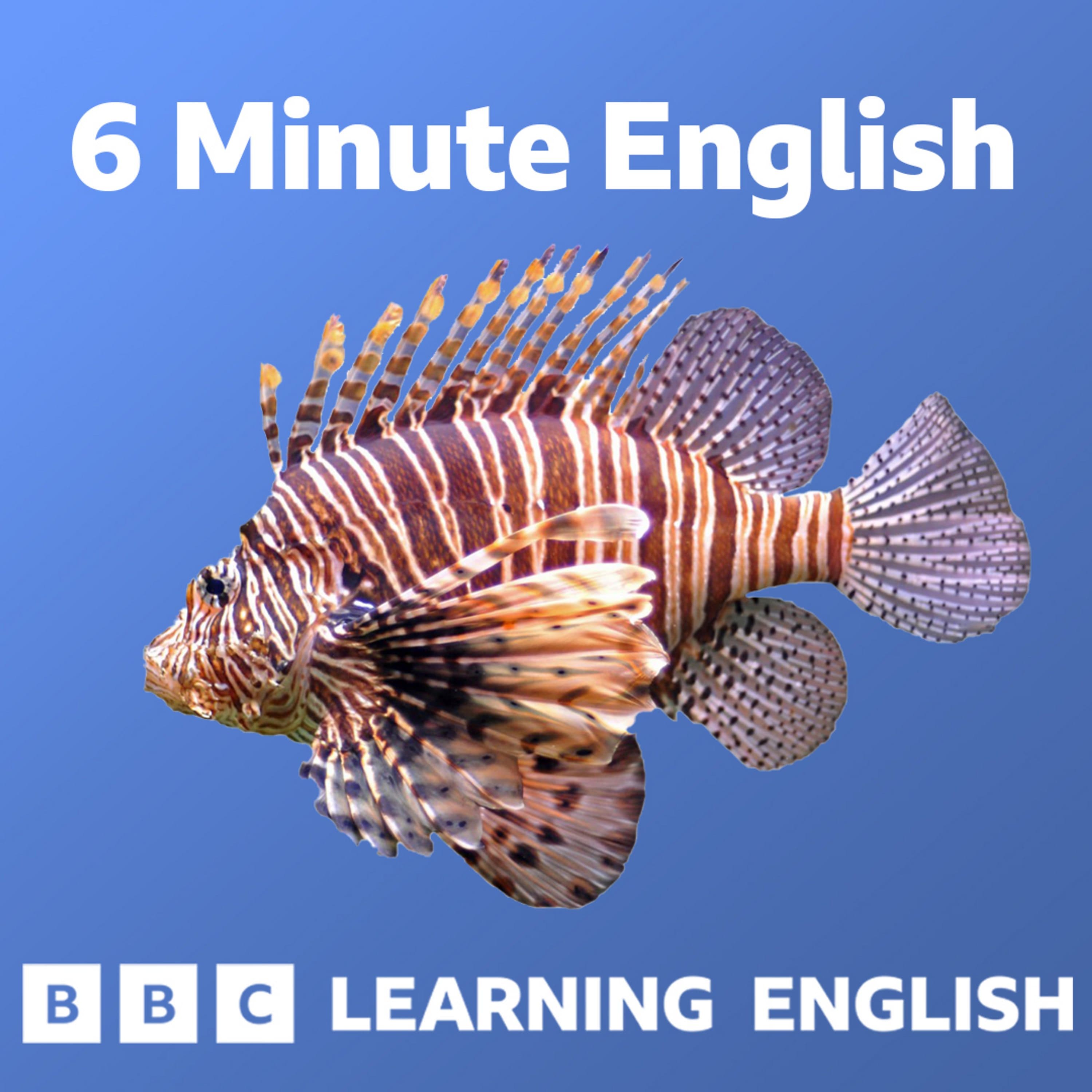 6 Minute English podcast cover art