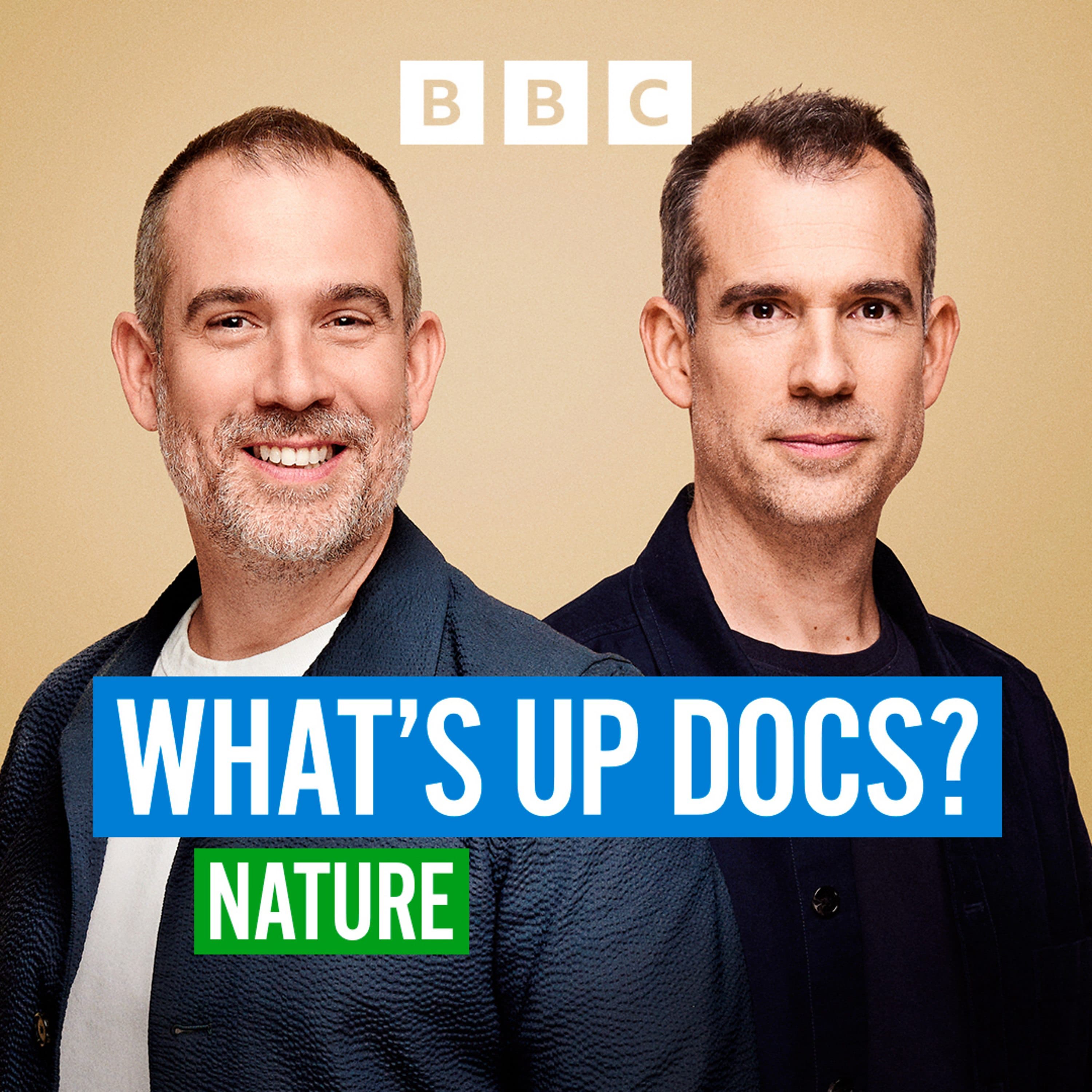What's Up Docs? podcast cover art